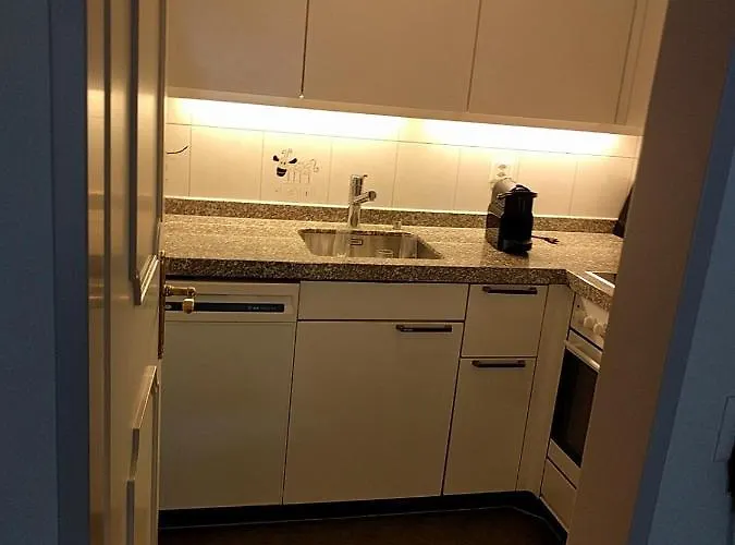 아파트 Holiday Apartment Davos Residence *